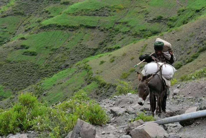 Rural Ethiopian highlands
