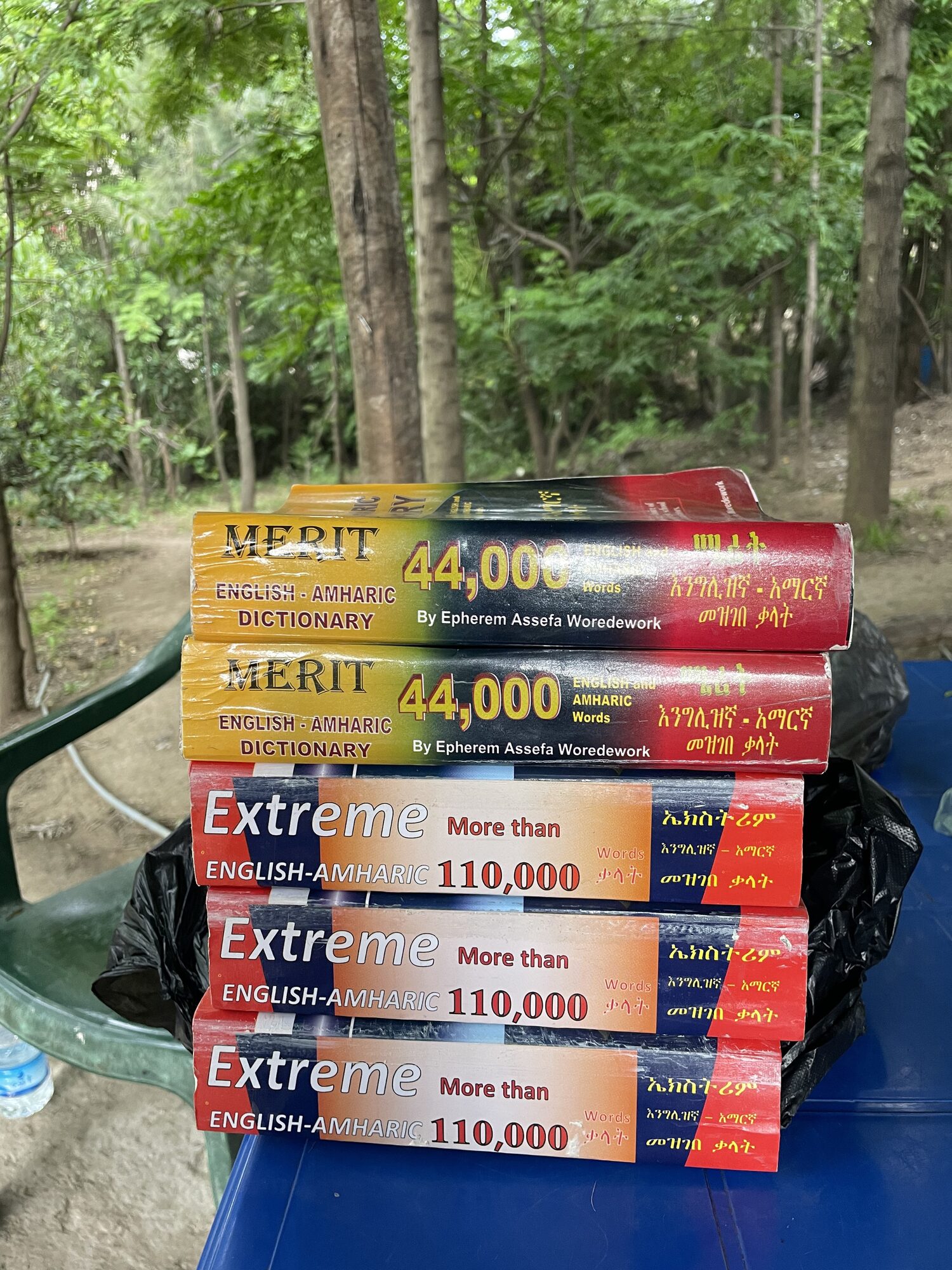 Stack of English-Amharic dictionaries purchased for local students